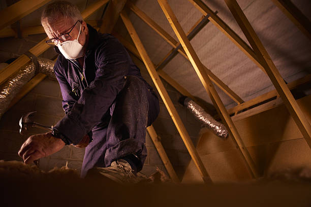 Best Best Insulation Companies  in Briggs, OK