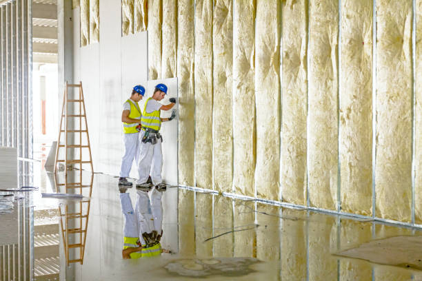Best Blown-in Insulation  in Briggs, OK
